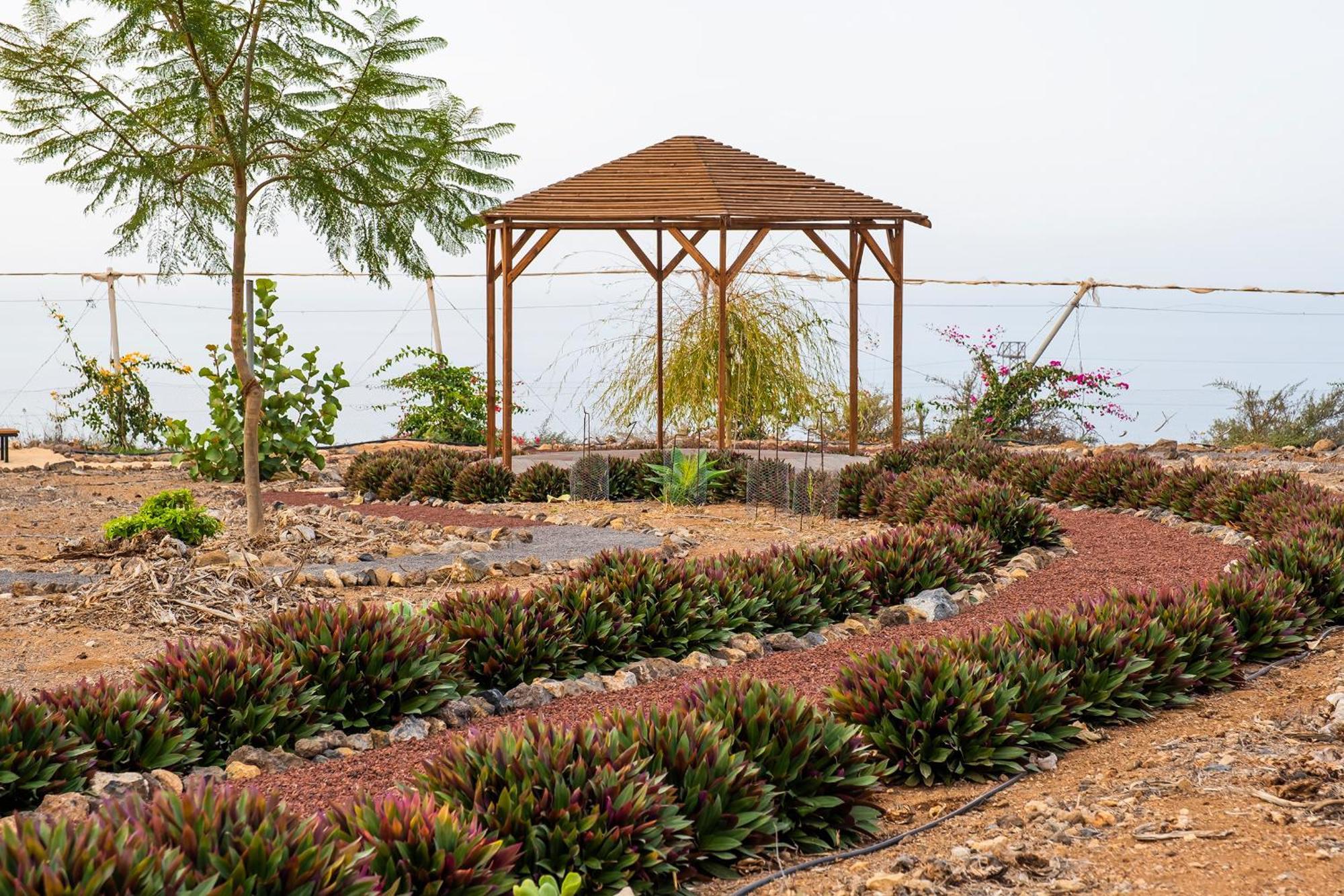 Tenerife Healing Garden 기아데이소라 외부 사진