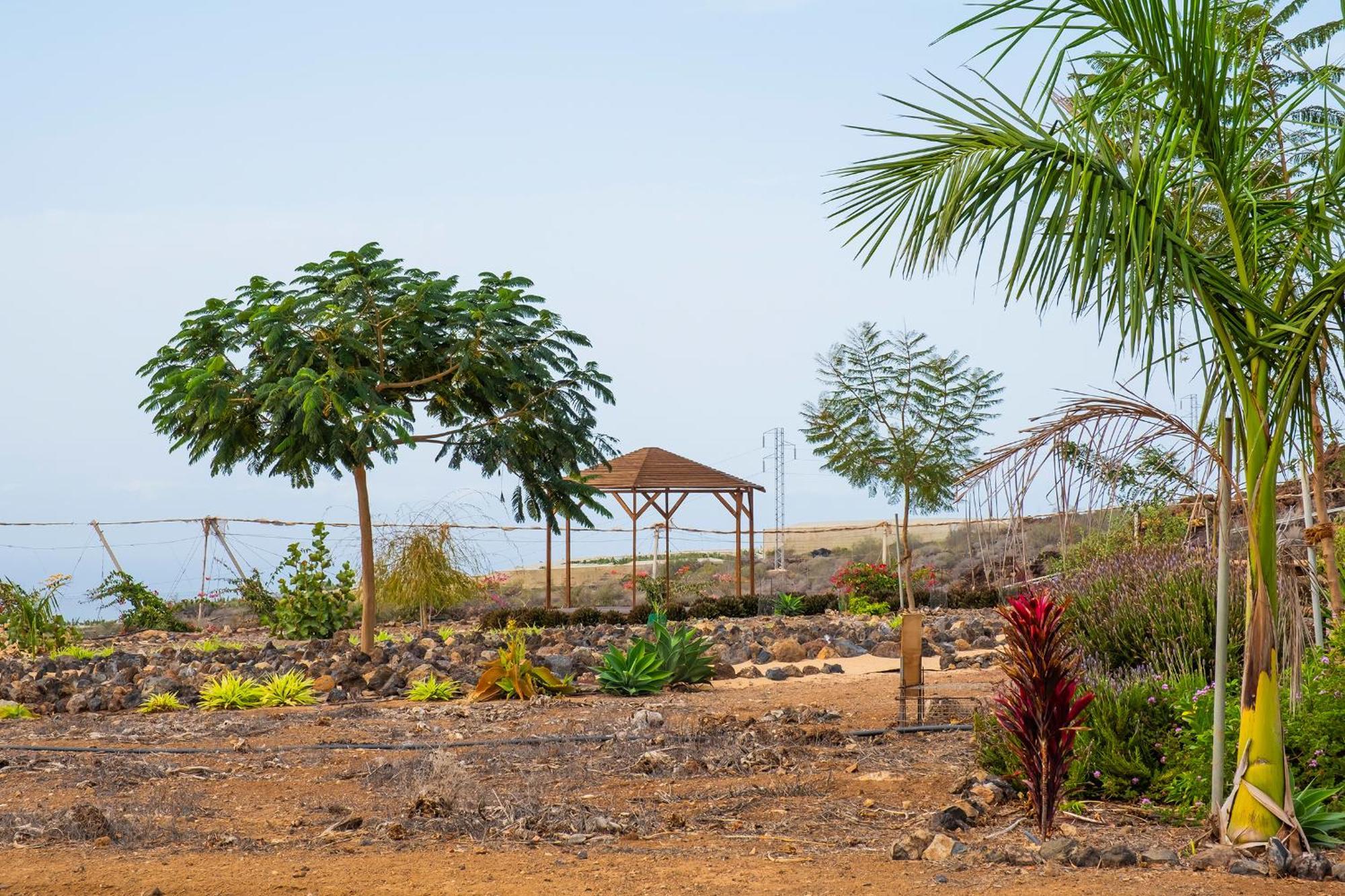Tenerife Healing Garden 기아데이소라 외부 사진