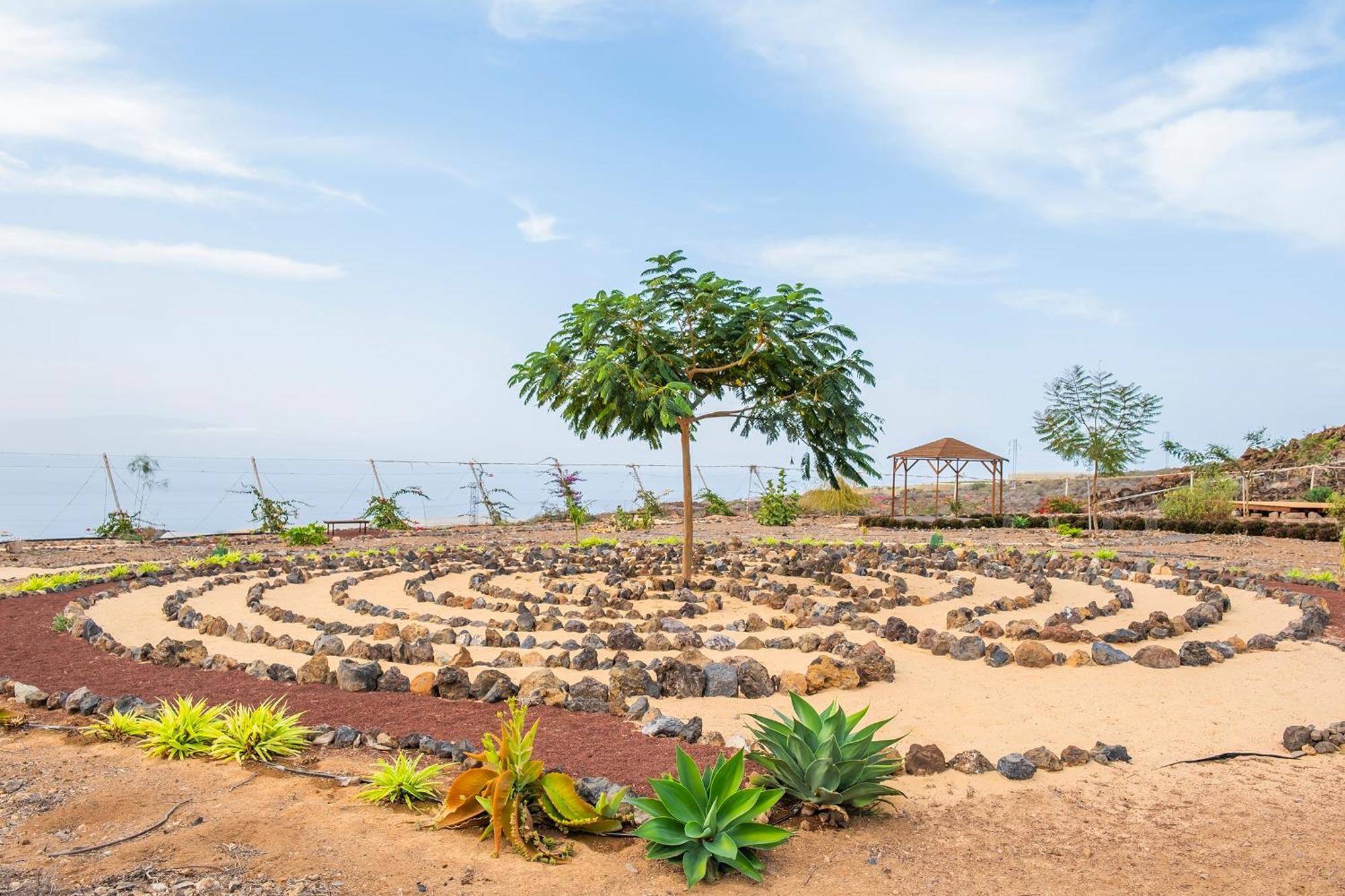 Tenerife Healing Garden 기아데이소라 외부 사진