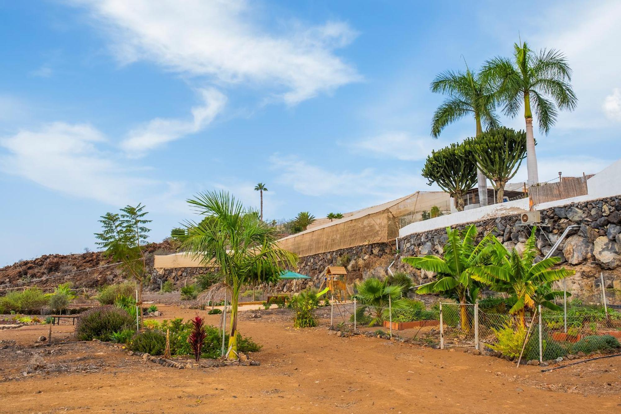 Tenerife Healing Garden 기아데이소라 외부 사진
